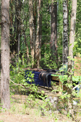 Similar image 21994539