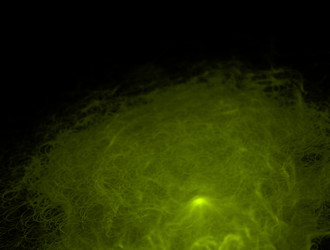 Similar image 22019049