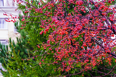 Similar image 22008669