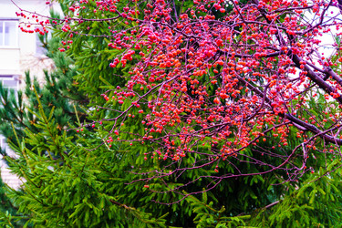 Similar image 22008670