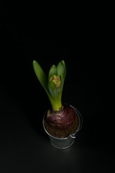 Similar image 21996452