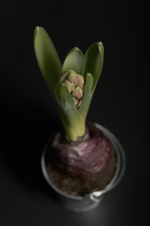 Similar image 21996453