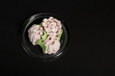 Similar image 21996461