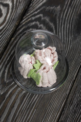 Similar image 21996467