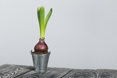 Similar image 21996469