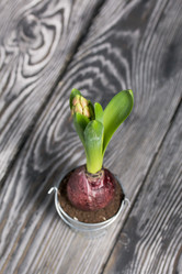 Similar image 21996470