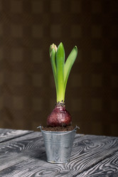 Similar image 21996472