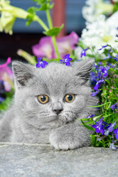 Similar image 22002049