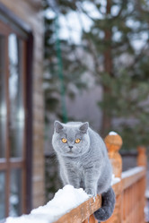 Similar image 22002050