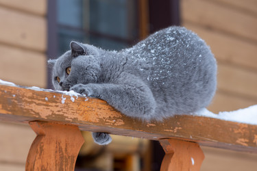 Similar image 22002051