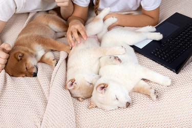 Similar image 22002052