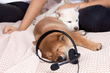 Similar image 22002053