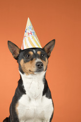 Similar image 22002030