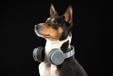 Similar image 22002031