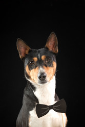 Similar image 22002033