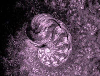 Similar image 22019079