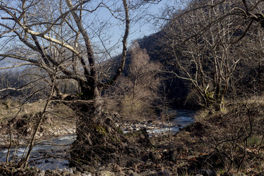 Similar image 22001925