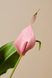 Similar image 21994188