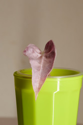 Similar image 21994191