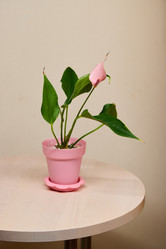 Similar image 21994192