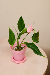 Similar image 21994194