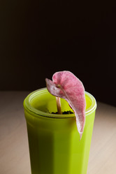 Similar image 21994195