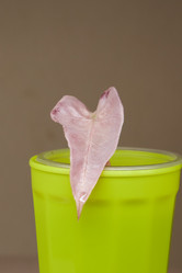 Similar image 21994196