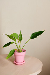 Similar image 21994197