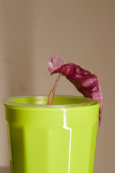 Similar image 21994198