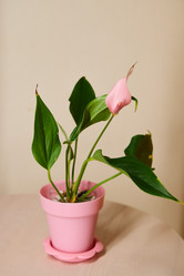 Similar image 21994199