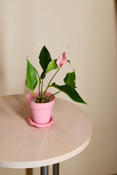 Similar image 21997969