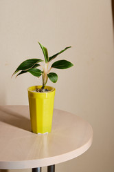 Similar image 21997971