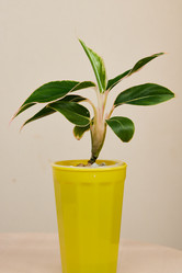 Similar image 21997973