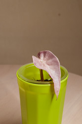 Similar image 21998096