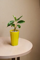 Similar image 21998098