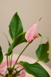 Similar image 21998391