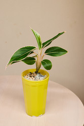 Similar image 21998395