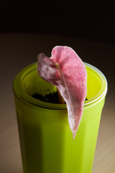 Similar image 21998401