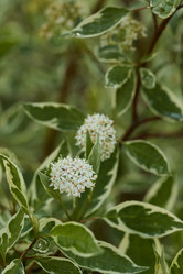 Similar image 21996493