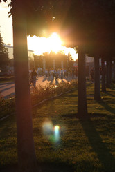 Similar image 21999134