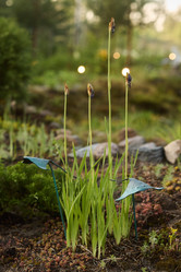 Similar image 21993747