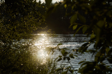 Similar image 21993844