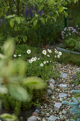 Similar image 21994200