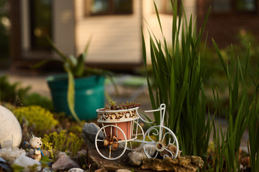 Similar image 21998101