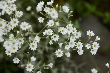 Similar image 21998407