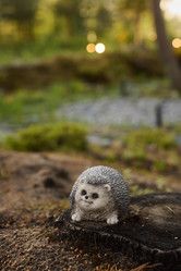 Similar image 21998412