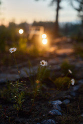 Similar image 21998949