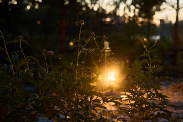 Similar image 21999022