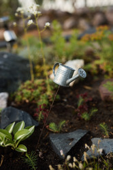 Similar image 21999024