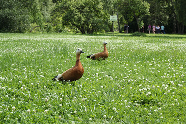 Similar image 21999080